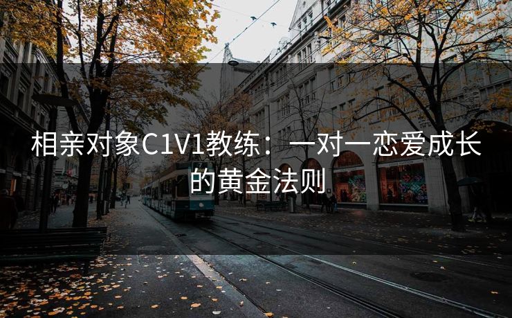 相亲对象C1V1教练:一对一恋爱成长的黄金法则 相亲对象C1V1教练:一对一恋爱成长的黄金法则