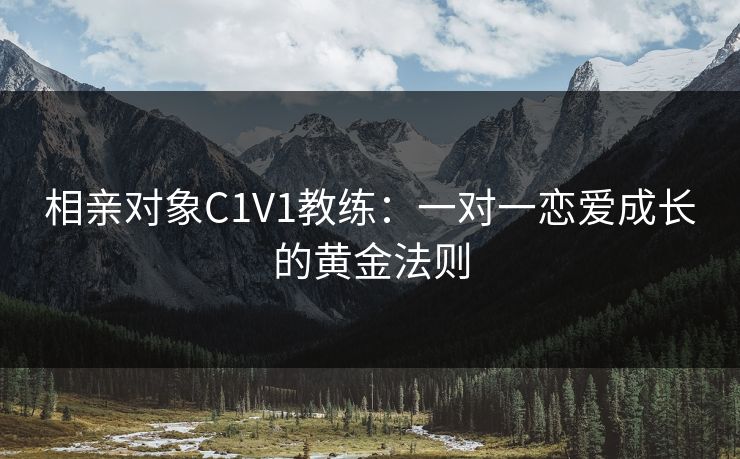 相亲对象C1V1教练:一对一恋爱成长的黄金法则 相亲对象C1V1教练:一对一恋爱成长的黄金法则